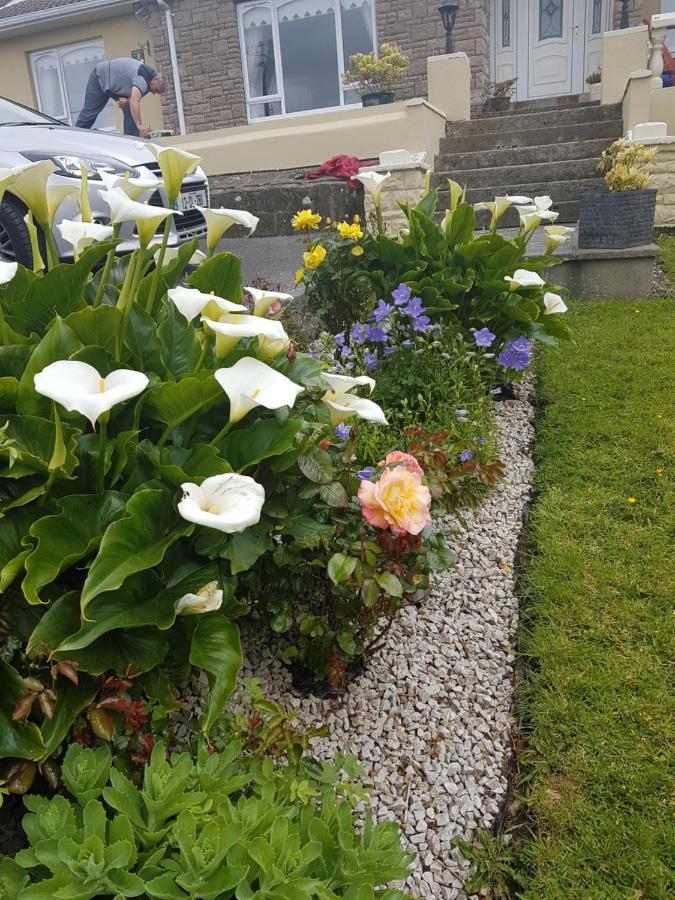 Channel View Ballyshannon Buitenkant foto